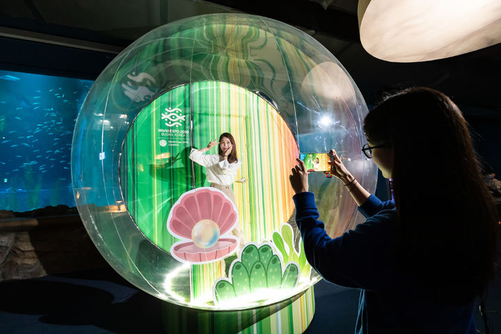 서울 송파구 롯데월드 아쿠아리움에서 기념 촬영하는 관람객 *재판매 및 DB 금지